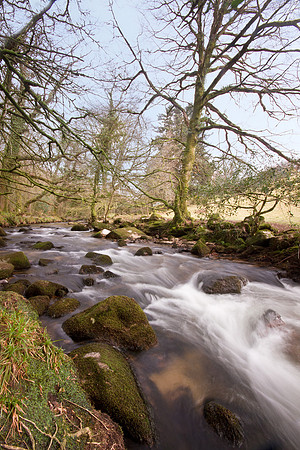 Golitha Falls