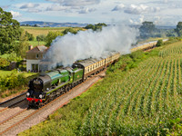 The Torbay express