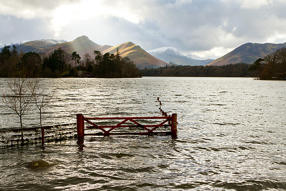 Flooded Gate