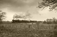 Across the Field