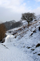 Snowy Slope