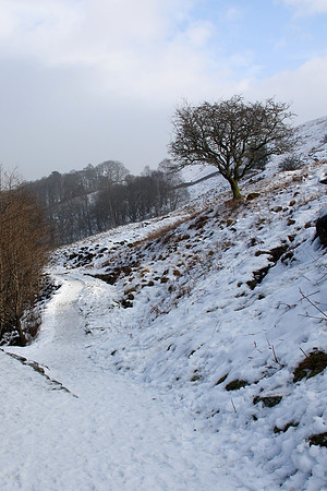 Snowy Slope