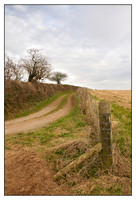 Farm Track