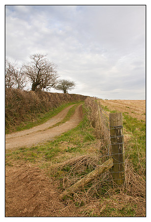 Farm Track