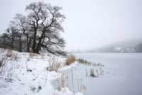 Brasmere