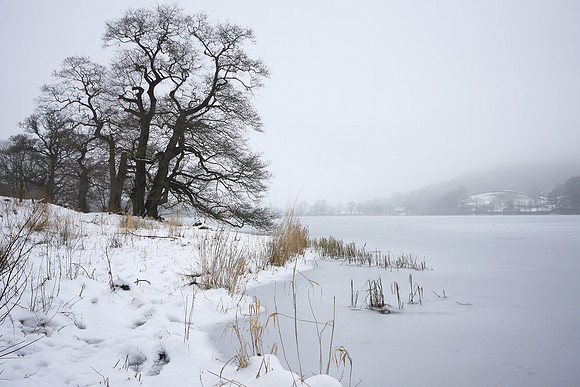 Brasmere