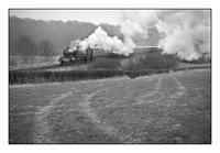 Large Prairie 5164