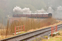 Pannier tank 1501